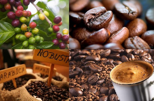  Thị trường cafe rang xay nguyên chất 2021